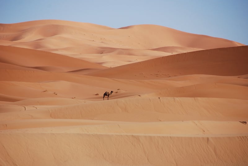 Moroccan Architecture
